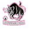 https://img.kirkthornton.com/img/football/team/97c3ef30cac48cadff97605e387feefa.png